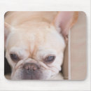 Suche nach sofa mousepads Farbbild