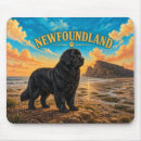 Suche nach neufundländer mousepads Für alle