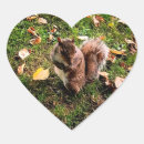 Suche nach braunes eichhörnchen aufkleber Grün