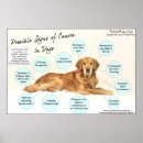 Suche nach tierarzt kunst Hund