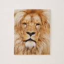 Suche nach afrikanischer löwe puzzle Katze