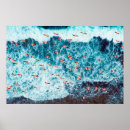 Suche nach flamingos poster Vögel