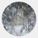 Suche nach sibirischer husky aufkleber Weihnachten