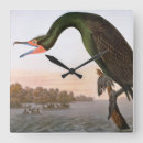 Suche nach audubon wanduhren John james audubon