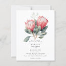 Suche nach protea postkarten Blumenreich