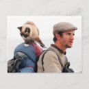Suche nach obdachlos postkarten Katze