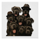 Suche nach cane corso poster Mops