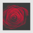 Suche nach samt magnete Rose