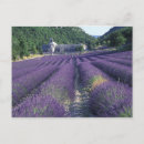 Suche nach provence postkarten Europa