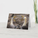 Suche nach seevögel karten Ozean