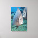 Suche nach tierfamilie leinwandbilder Zusammengehörigkeit