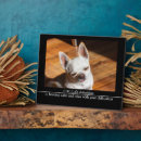 Suche nach chihuahua fotoplatten Hund