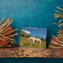 Suche nach wieser fotoplatten Hart's pass