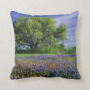 Suche nach malerpinsel kissen Wildblume