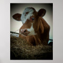 Suche nach cow poster Farm