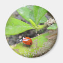 Suche nach roter punkt magnete Foto