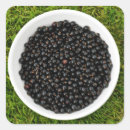 Suche nach schwarze johannisbeere aufkleber Obst