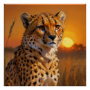 Suche nach afrikanischer sonnenuntergang poster Tierwelt