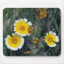 Suche nach gelbe wildblumen mousepads Botanisch