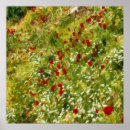 Suche nach papavere poster Sommer