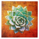 Suche nach rost fliesen Orange