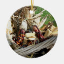 Suche nach mais ornamente Natur