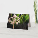 Suche nach macro karten Natur
