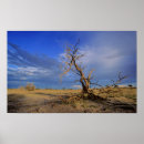 Suche nach toter baum poster Kahl