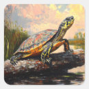 Suche nach niedliche schildkröte aufkleber Jede person