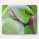 Suche nach grüner papagei mousepads Natur