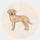 Suche nach gelbes labrador retriever aufkleber Niedlich