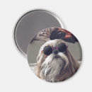 Suche nach haar magnete Für alle