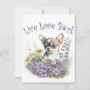 Suche nach chihuahua kleine grußkarten Haustier