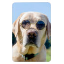 Suche nach hundedenkmal magnete Foto