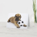 Suche nach dogge karten Great dane