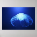 Suche nach medusa poster Mythologie