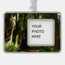 Suche nach farns ornamente Für alle