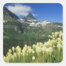 Suche nach logan aufkleber Glacier nationalpark