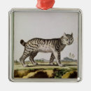 Suche nach luchs ornamente Wild