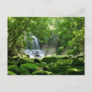 Suche nach tropischer wasserfall postkarten Grün