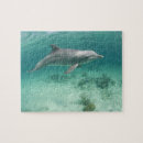 Suche nach bahamas puzzle Freeport