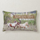 Suche nach ponys kissen Jede person