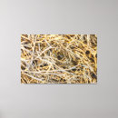 Suche nach algen leinwandbilder Natur