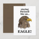 Suche nach goldener adler postkarten Raptor
