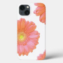 Suche nach orange gerbera andere Durchtränkt