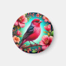 Suche nach vogel magnete Für sie
