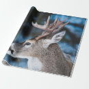 Suche nach linse geschenkpapier Wild