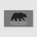 Suche nach grizzlybären Natur