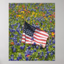 Suche nach war bonnet poster Blau