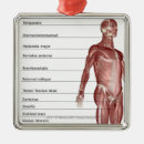 Suche nach diagramme ornamente Drei